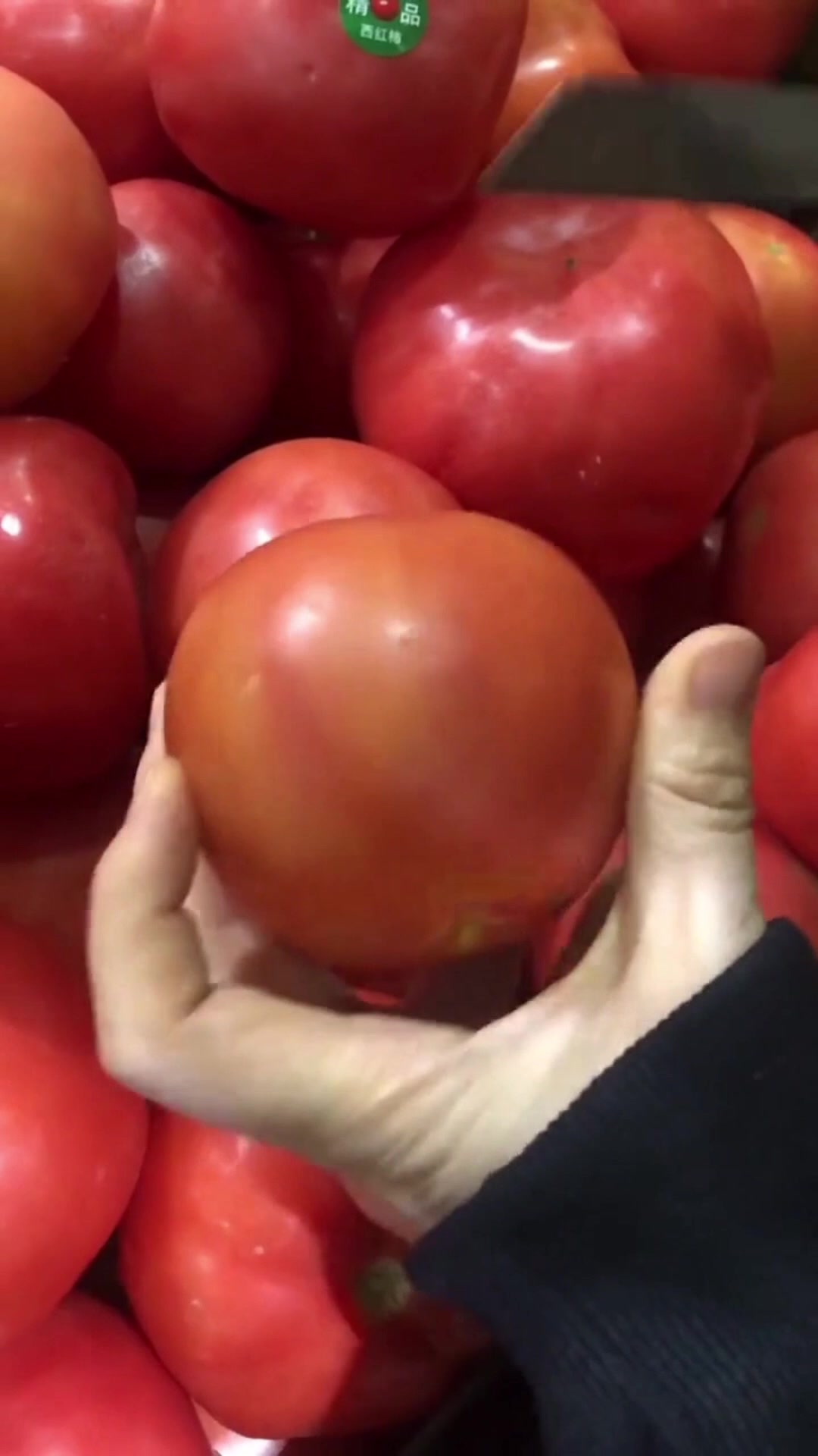 新疆羊肉酸汤馄饨教程