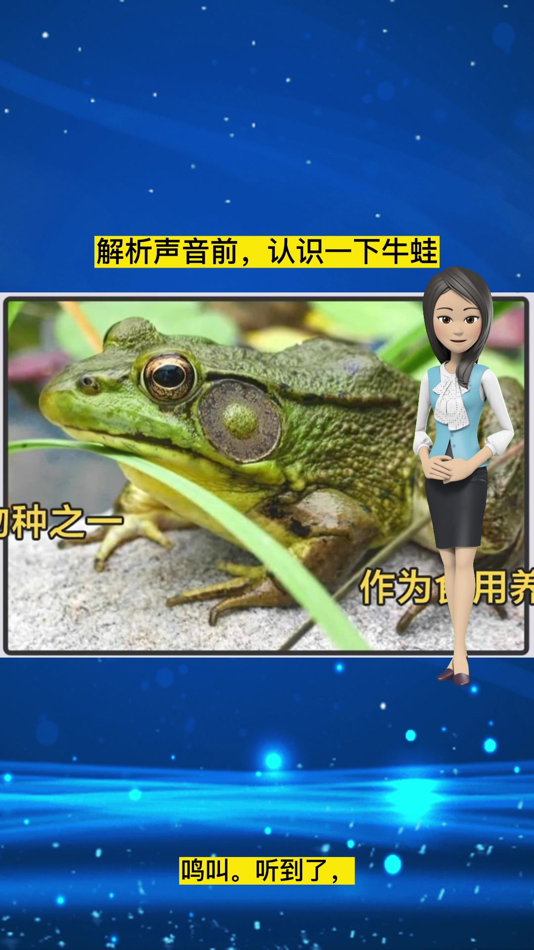 第70集:解析牛蛙的声音