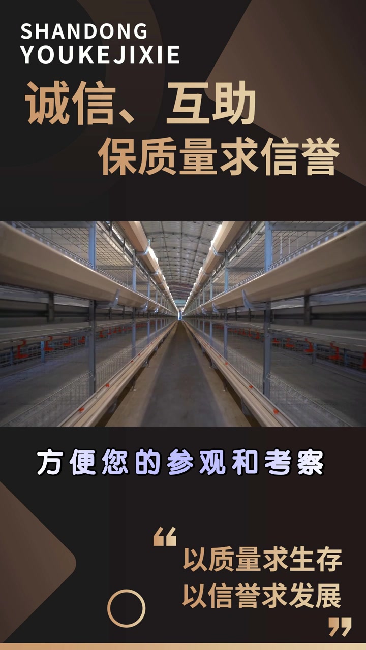 优科机械 #自动化鸡笼 #上海自动化鸡笼 #上海自动化鸡笼价格