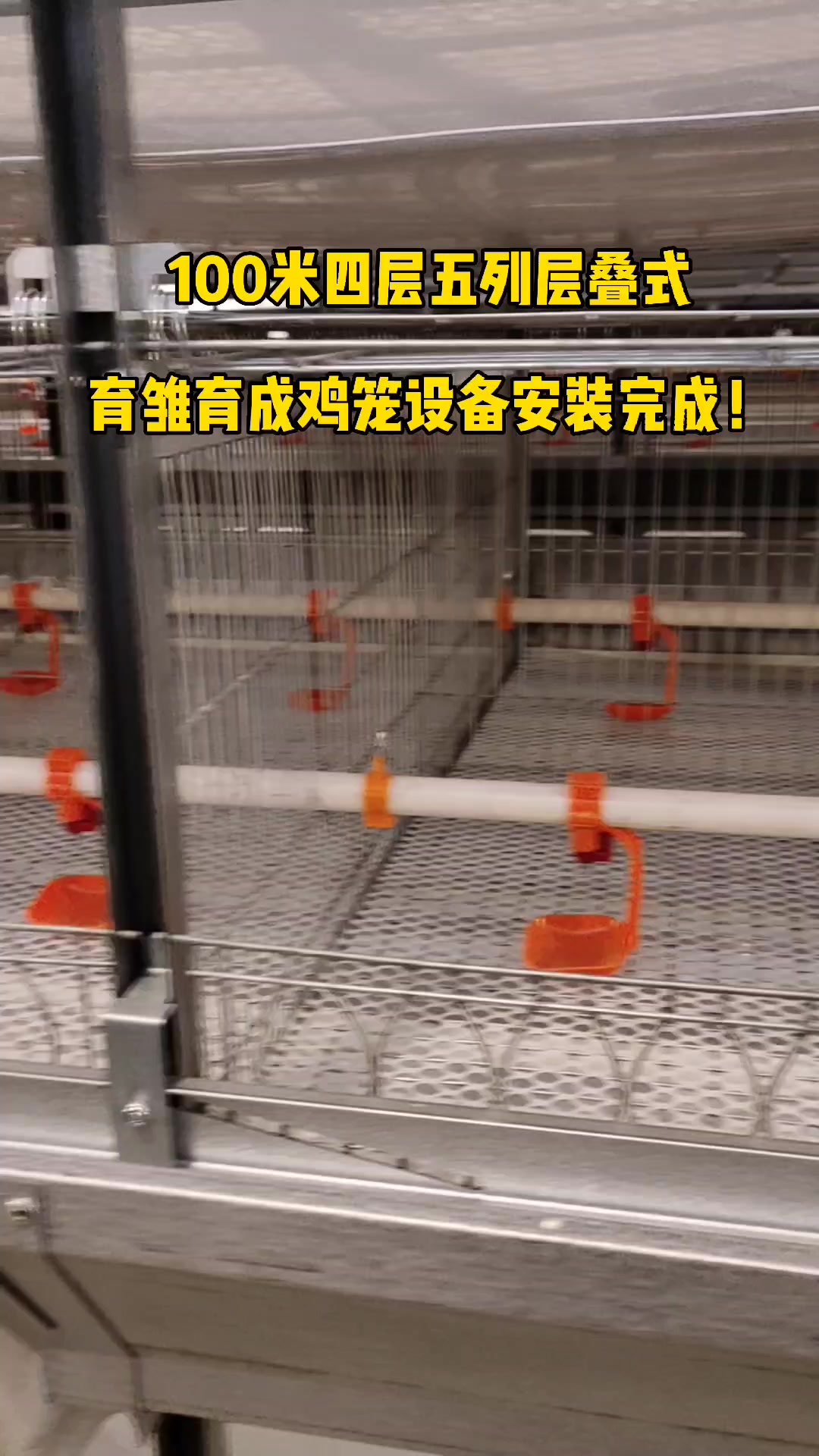 金璧盛全自动鸡笼设备安装现场