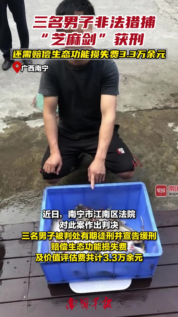 三名男子非法捕猎“芝麻剑”获刑,还需赔偿生态功能损失费3.3万余元。芝麻剑