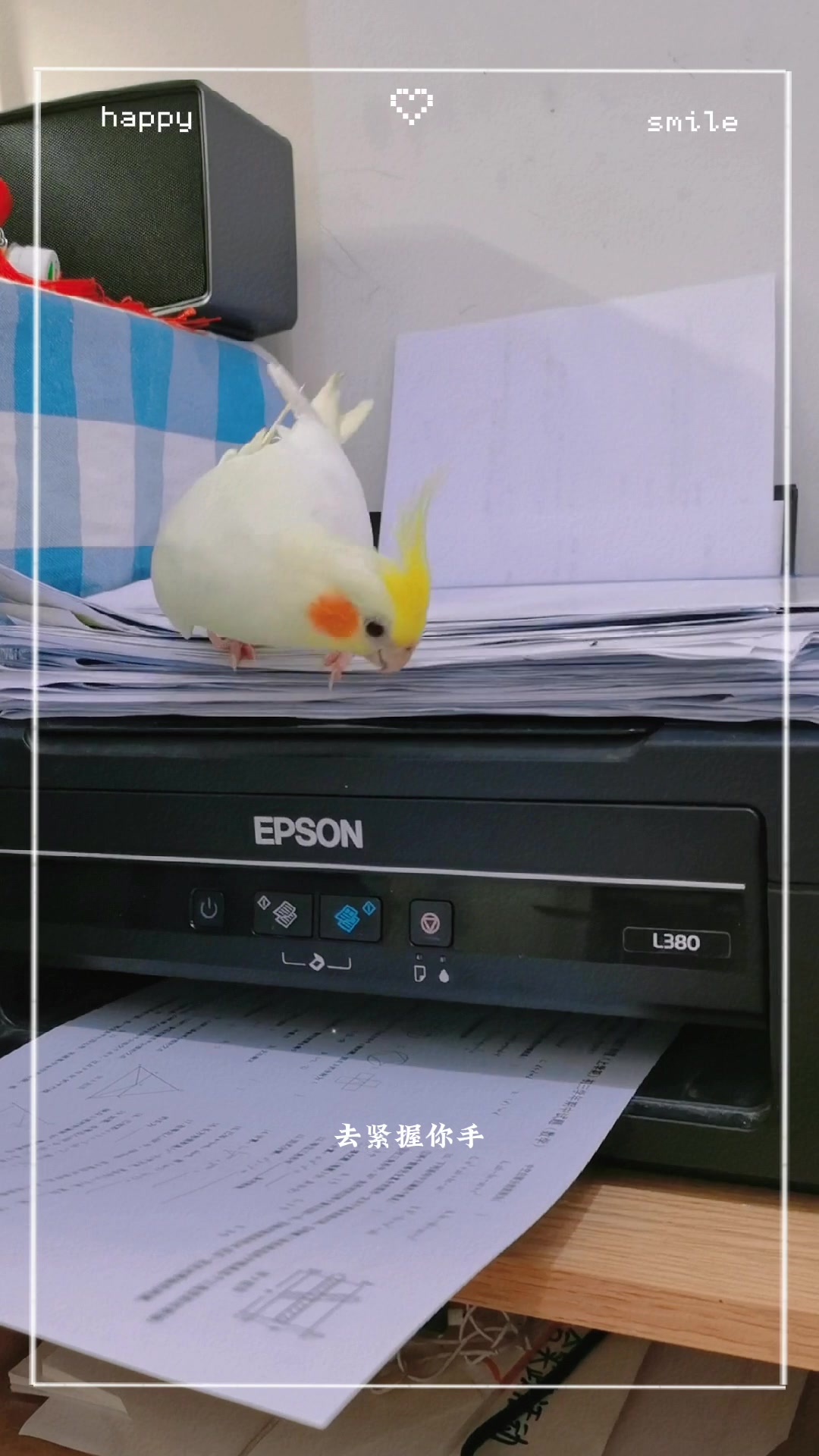 小黄鸡和打印机!