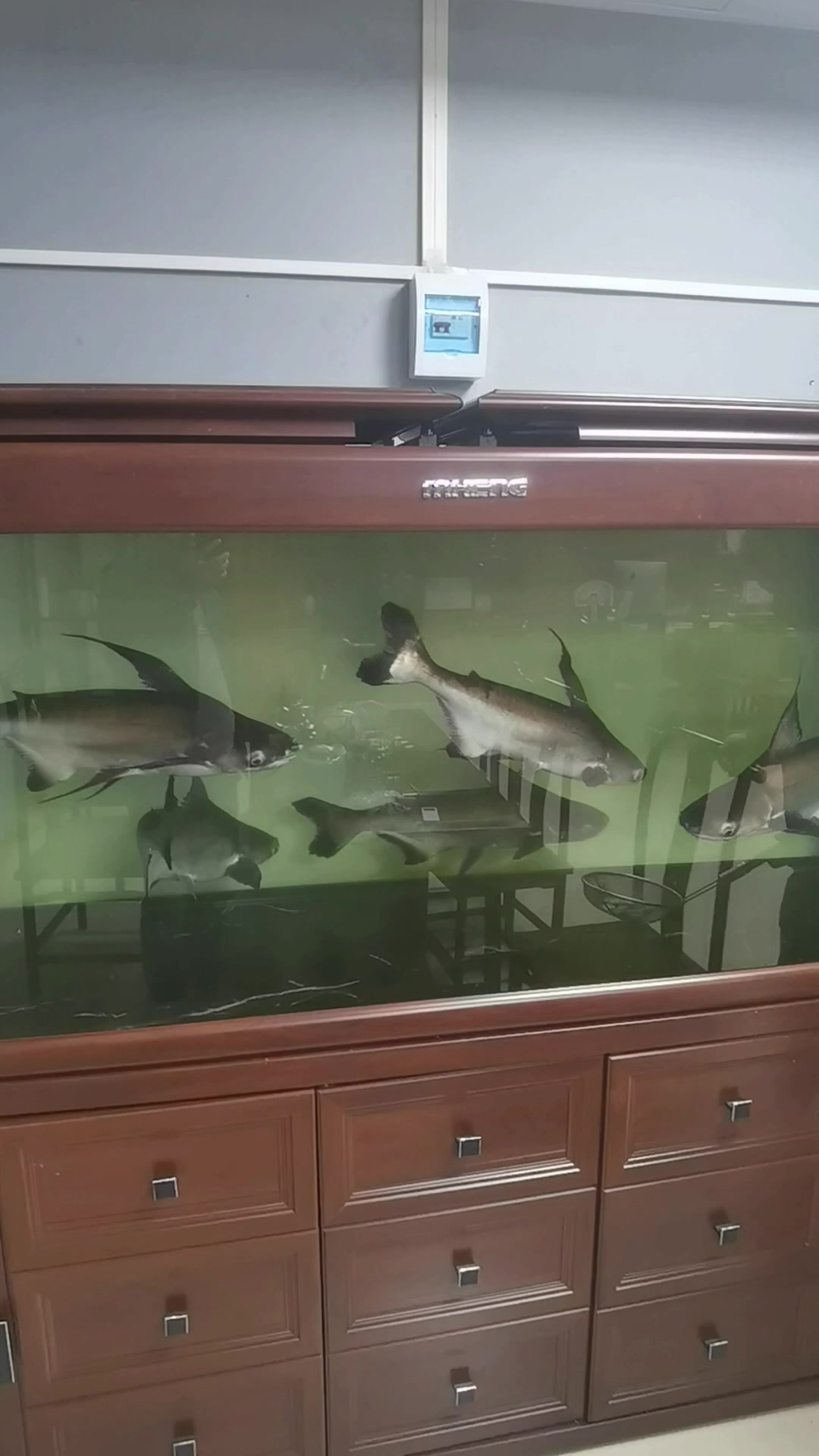 大威天龙,大威天龙