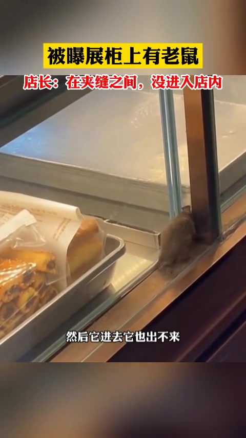 知名糕点门店老鼠在展柜旁乱窜,店长:在夹缝之间,没进入店内