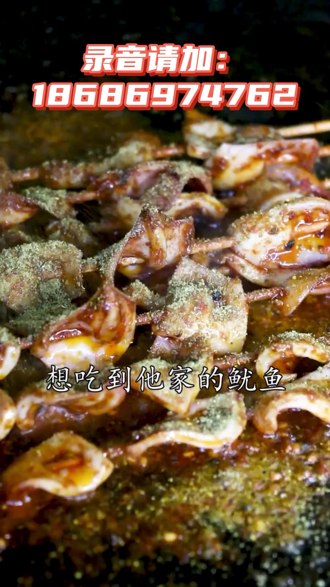 铁板鱿鱼广告录音