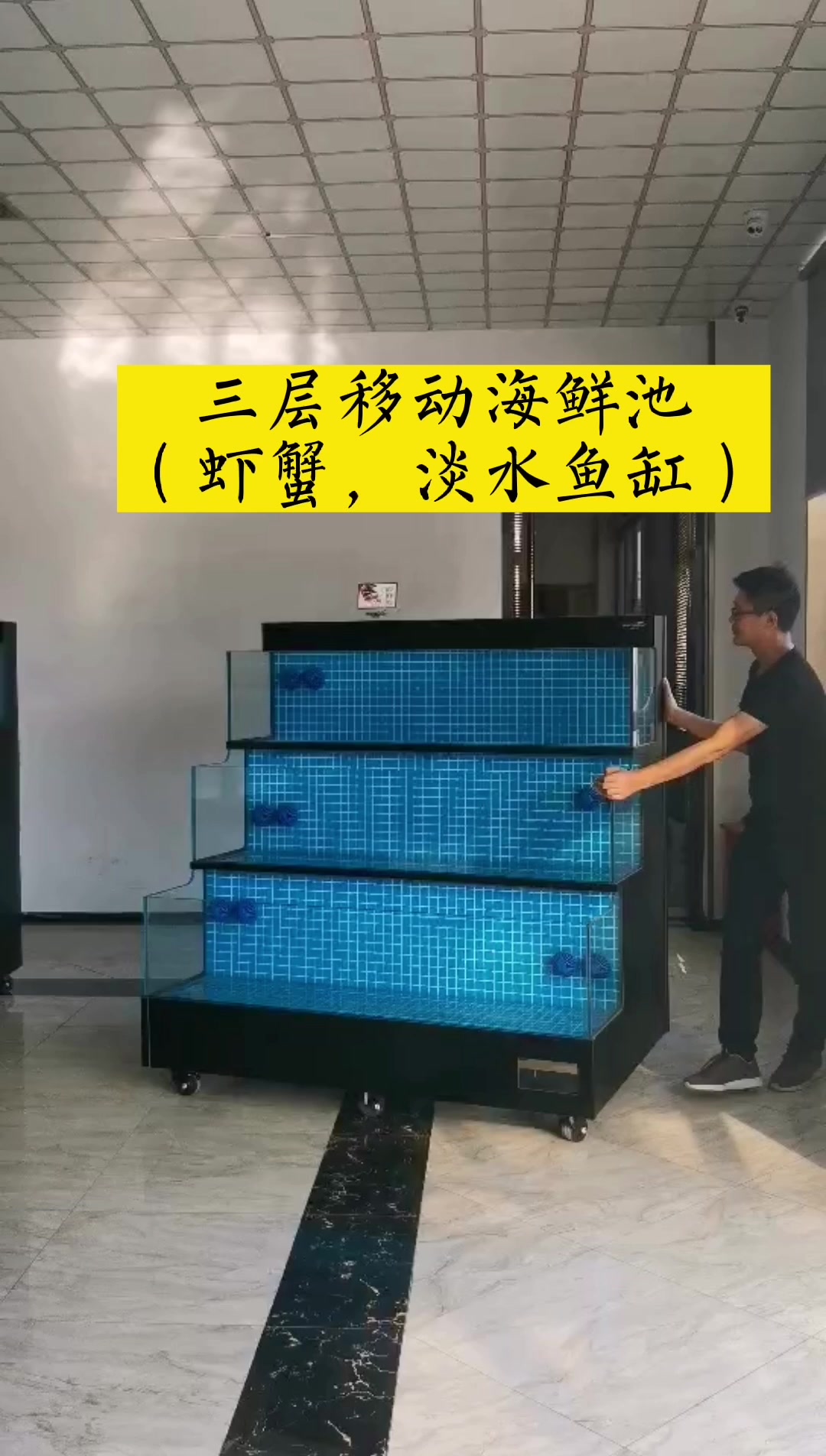 海鲜鱼缸-超市海鲜池-饭店餐厅海鲜池-移动海鲜池-酒店海鲜池