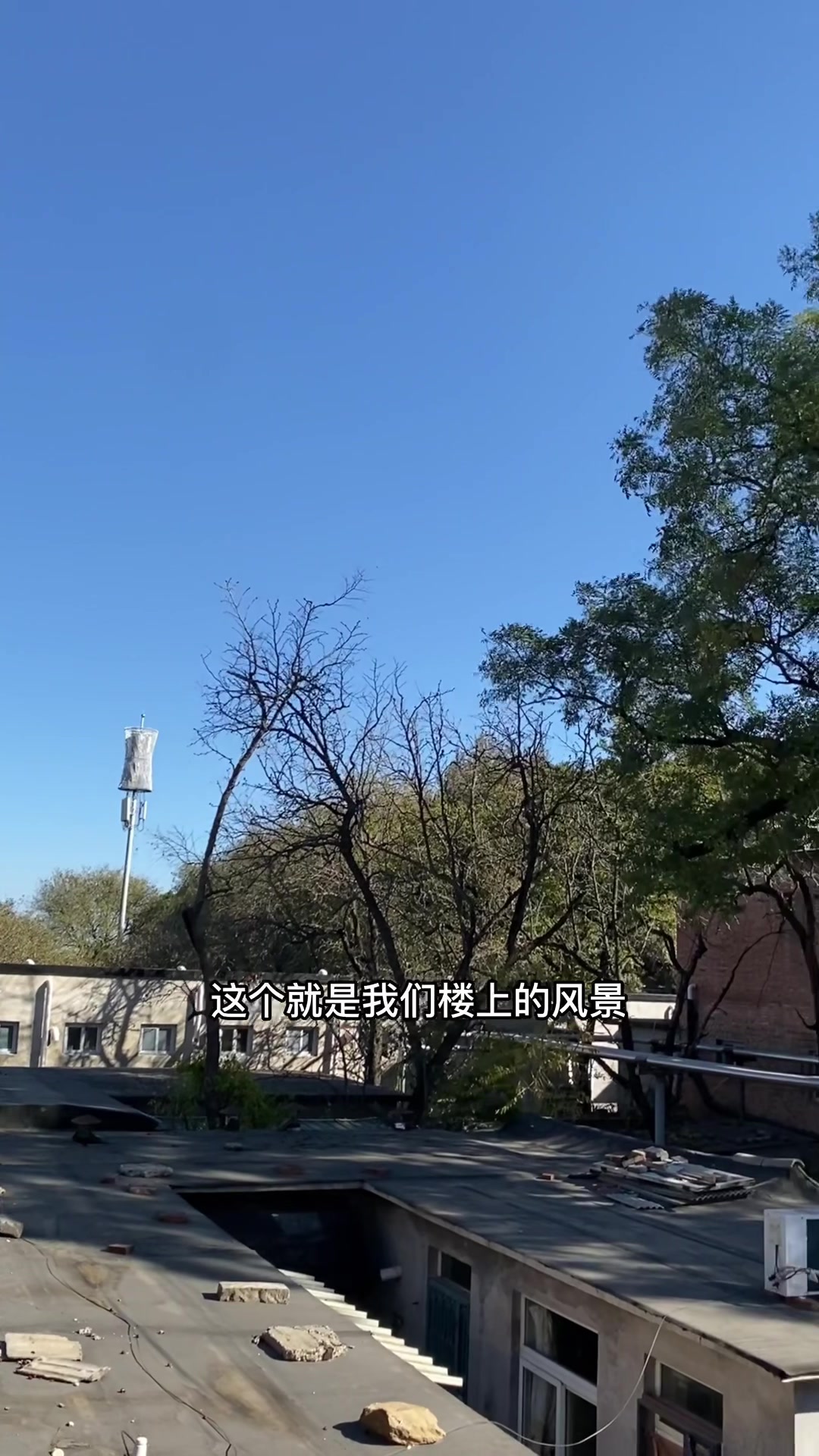 记录一家四口北漂的生活,今天妹妹没有去幼儿园,给她做了菠菜面