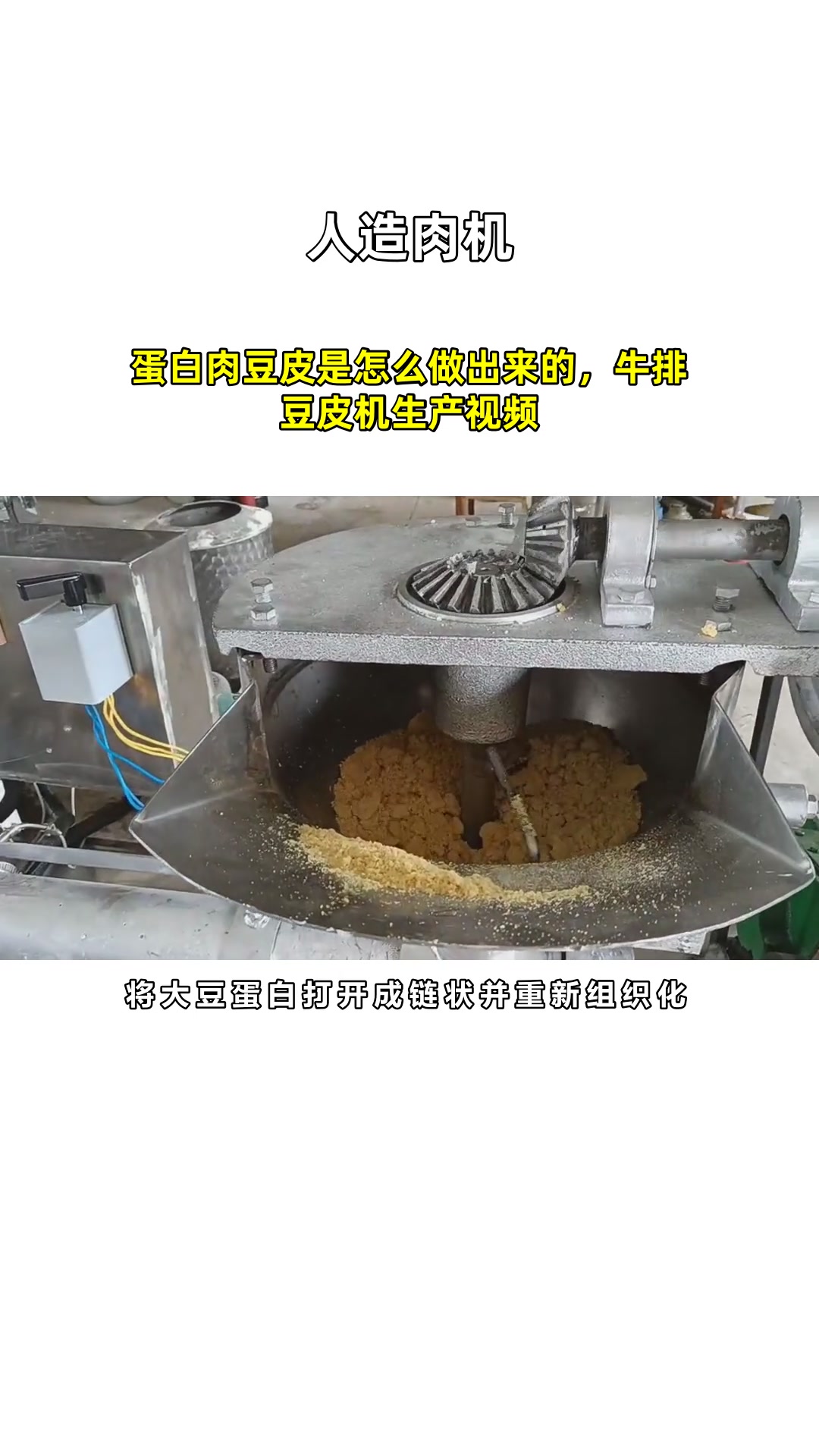 蛋白肉豆皮是怎么做出来的,牛排豆皮机生产视频