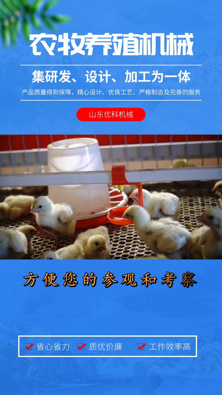 养鸡设备活动优惠中!养鸡设备 吉林养鸡设备 吉林养鸡设备厂家