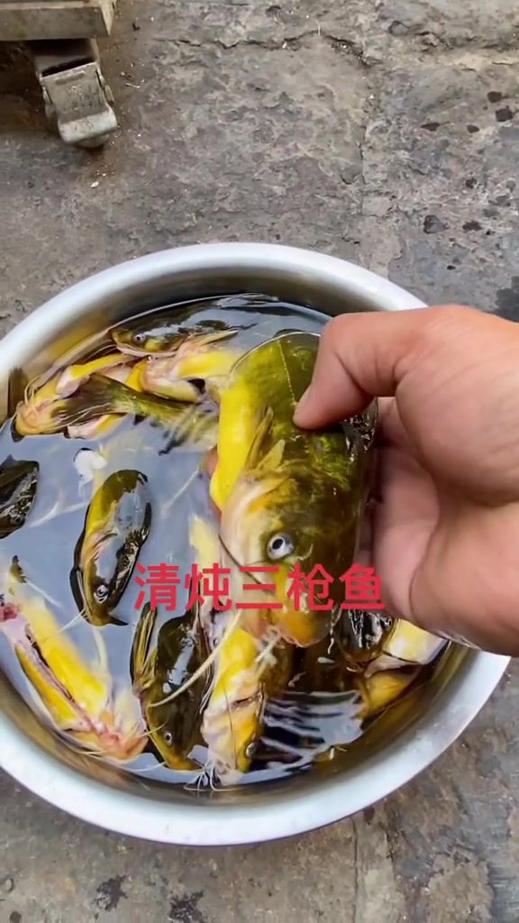 清炖三枪鱼我的乡村生活铁锅炖美食