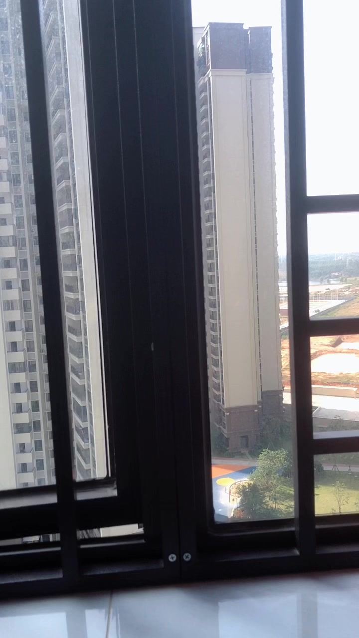 可爱小鸭子白色系列