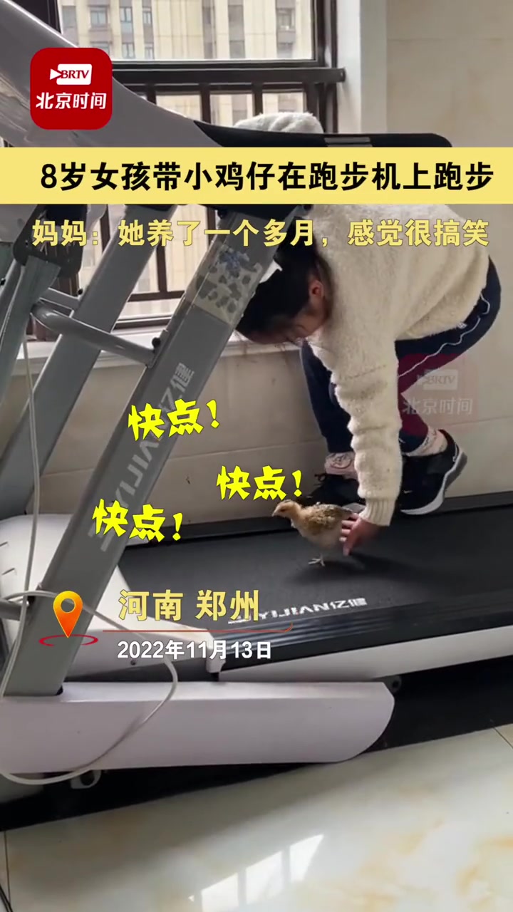 11月13日,河南郑州 8岁女孩带小鸡仔在跑步机上跑步 妈妈:她养了一个多月,感觉很搞笑