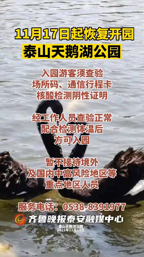 果然视频丨泰山天鹅湖公园于11月17日起恢复开园