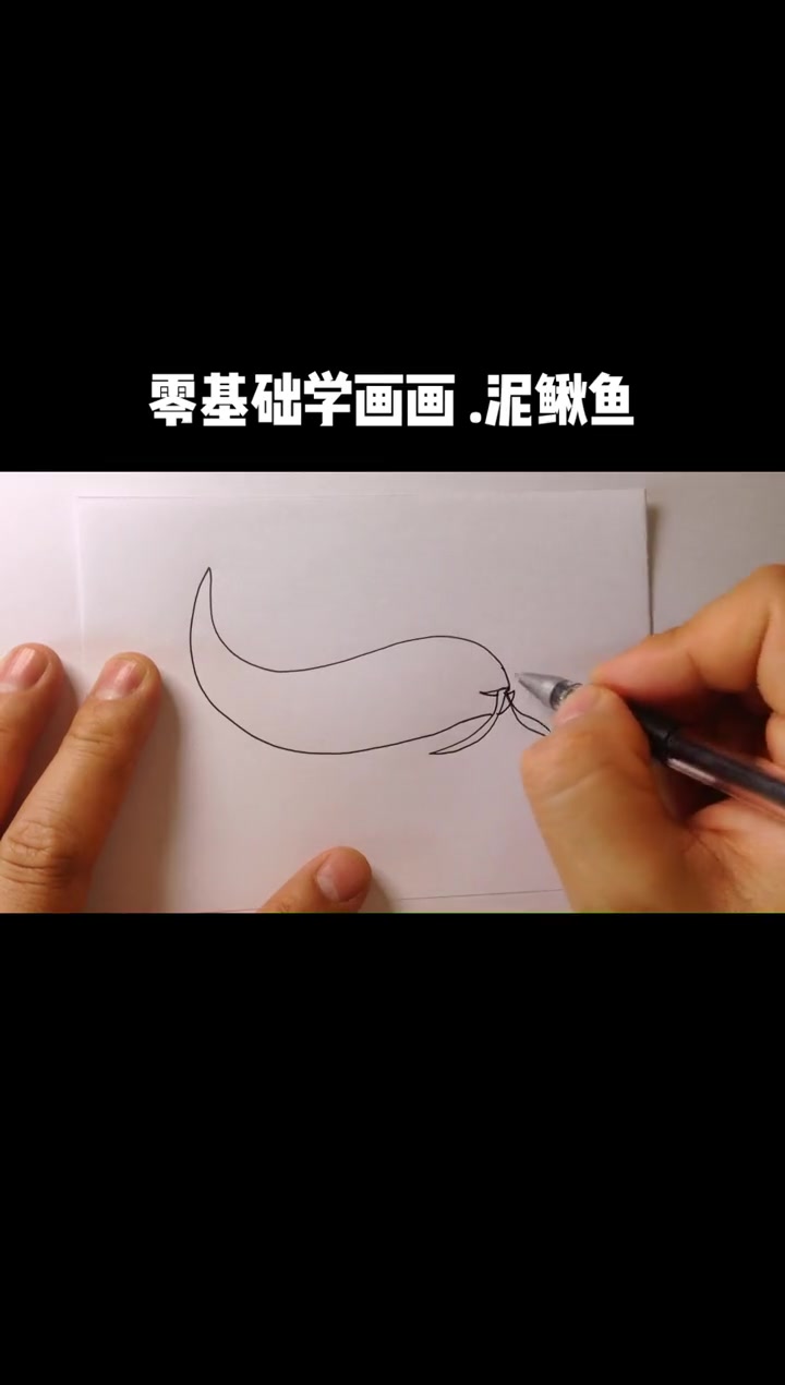 简笔画 手绘 儿童简笔画 一起学画画 泥鳅的画法