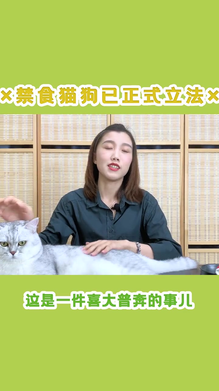 猫肉和狗肉都不能吃!你不会才知道吧?内容过于真实 萌宠出道练习生 吃猫肉 吃狗肉