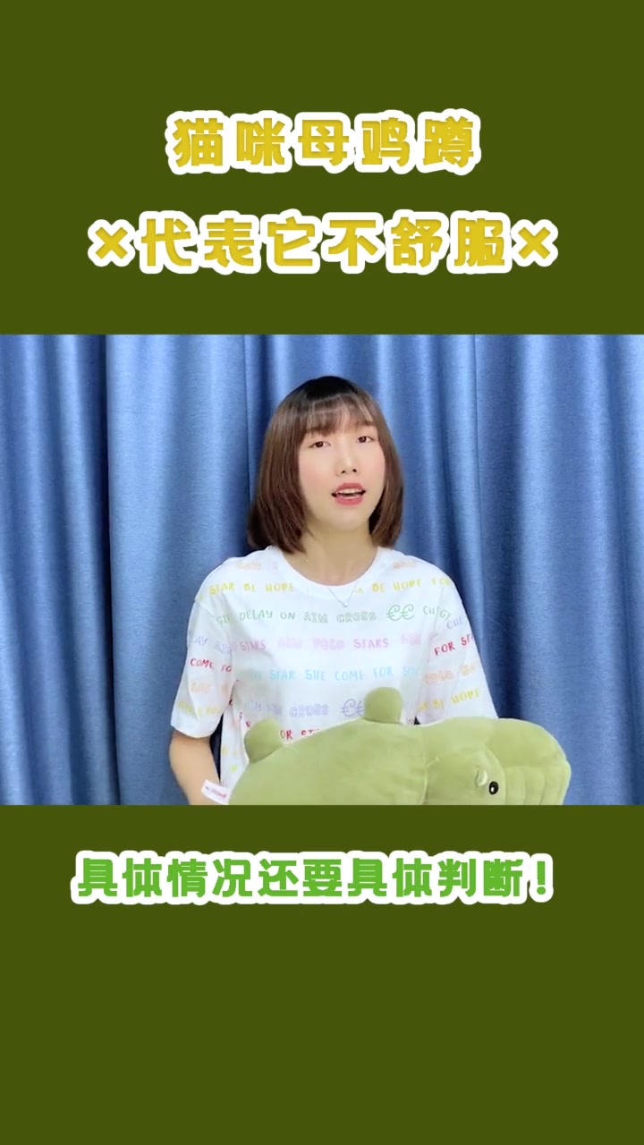 “母鸡蹲”,代表猫咪真的很不舒服!别拿猫咪的不适反应当玩笑哦!猫 养猫养猫