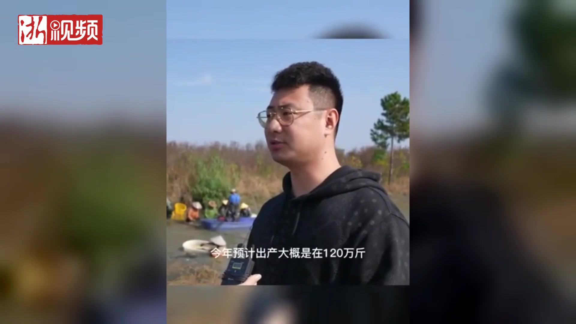 “长江四鲜”之一 ,鮰鱼开捕丰收!