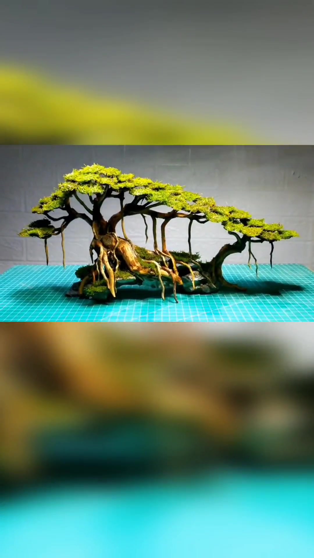 这次要把鱼缸造景做的漂亮一些了。