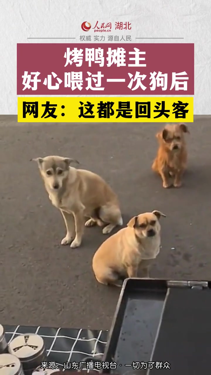 烤鸭摊主好心喂过一次狗后,网友:这都是回头客。小狗狗能有什么坏心思呢 +上热门