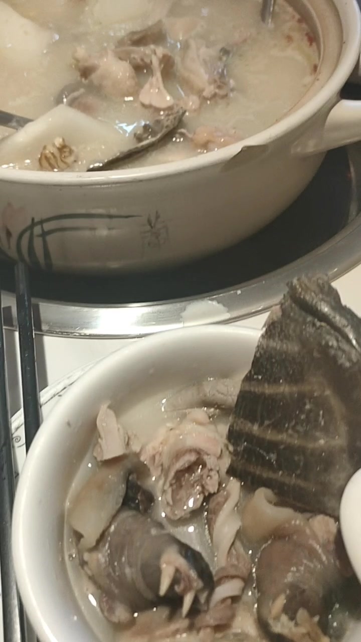 猪肚鸡甲鱼汤太好喝了