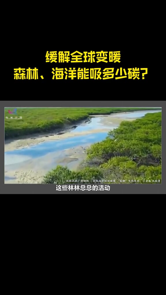 遏制气候变化是全世界共同面对的挑战。除了减少二氧化碳排放,增加森林海洋等对二氧化碳的吸收也