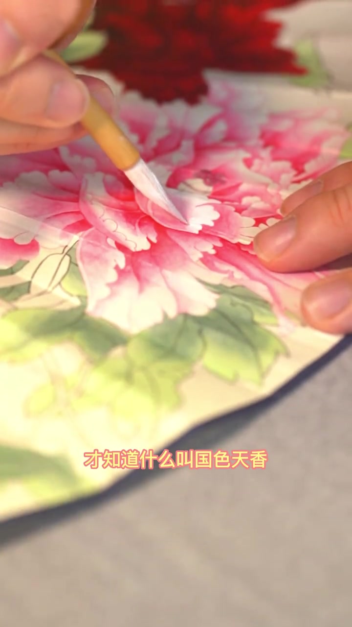 第32集|有一种花,叫牡丹花,它的花语是:只闻花香,莫问流年,你要见过牡丹盛放,就会知道什