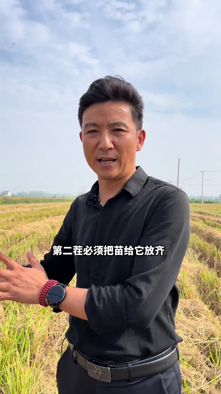 一稻四虾的关键节点在哪里