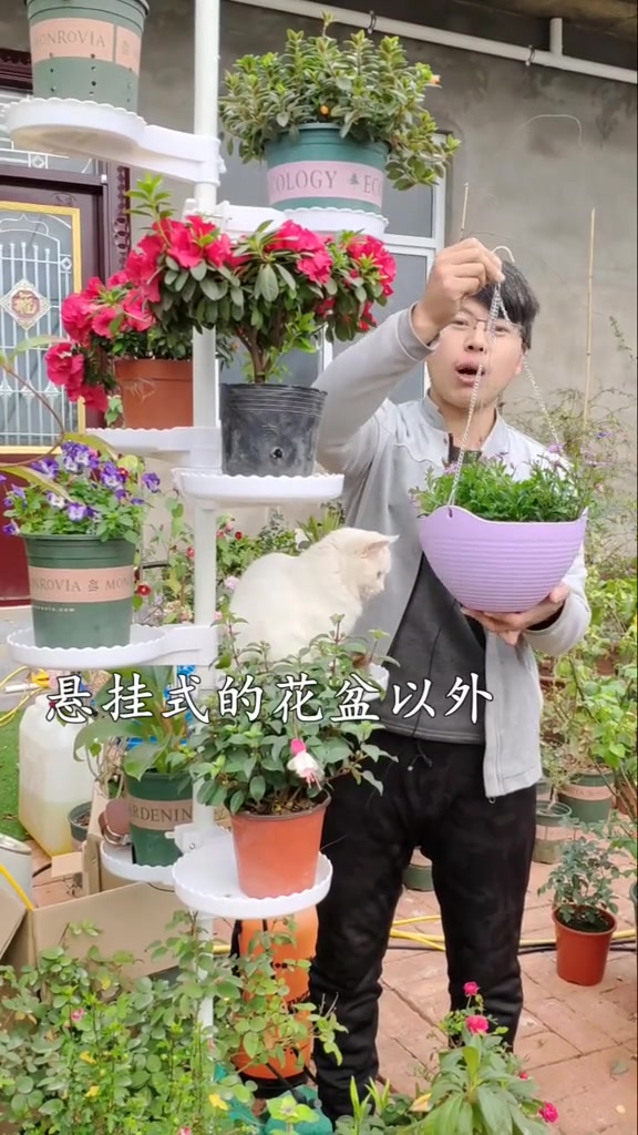 阳台空间小?用这种花架