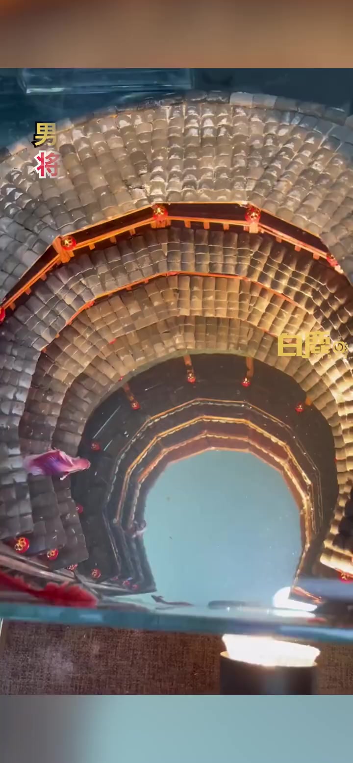 「精美绝伦!男子8天把大鱼海棠土楼搬进鱼缸 动漫照进现实」11月21日,江苏徐州。85后男