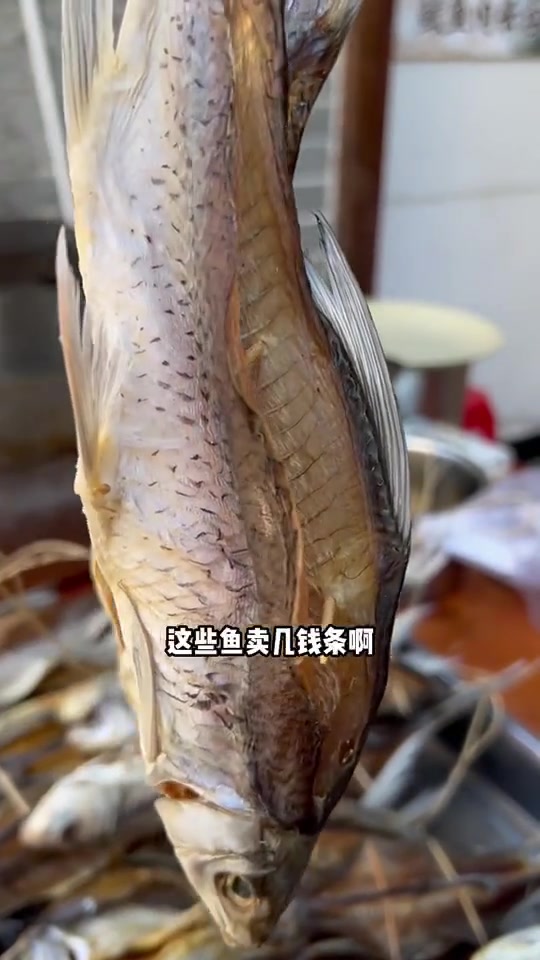 靓靓生晒鲮鱼干～好食材好味道 地方特色美食 爱生活爱美食 美食