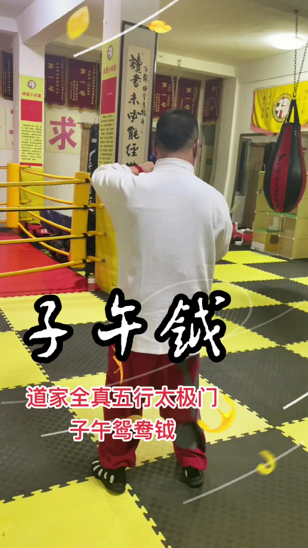 全真太极拳(子午鸳鸯钺)