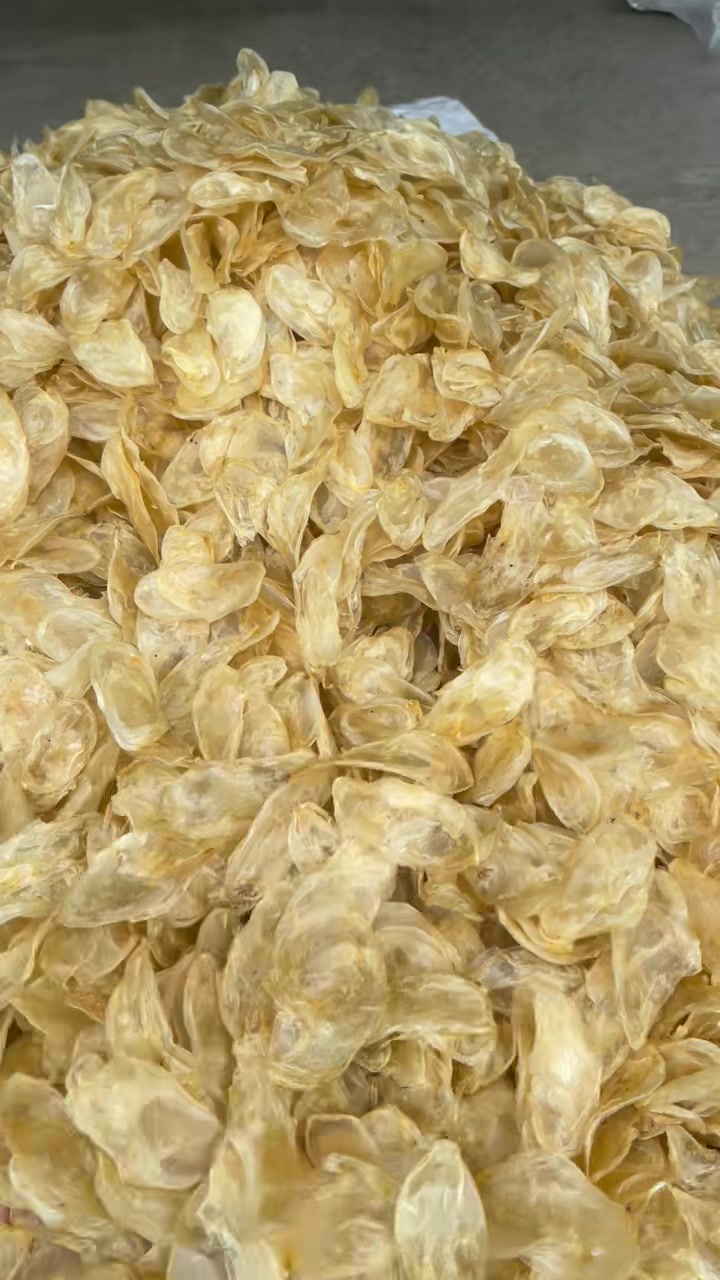 鸡蛋鱼胶 营养价格高煲汤都可以