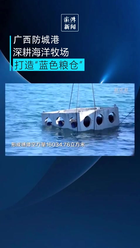 广西防城港建设人工鱼礁海洋牧场,打造“蓝色粮仓”