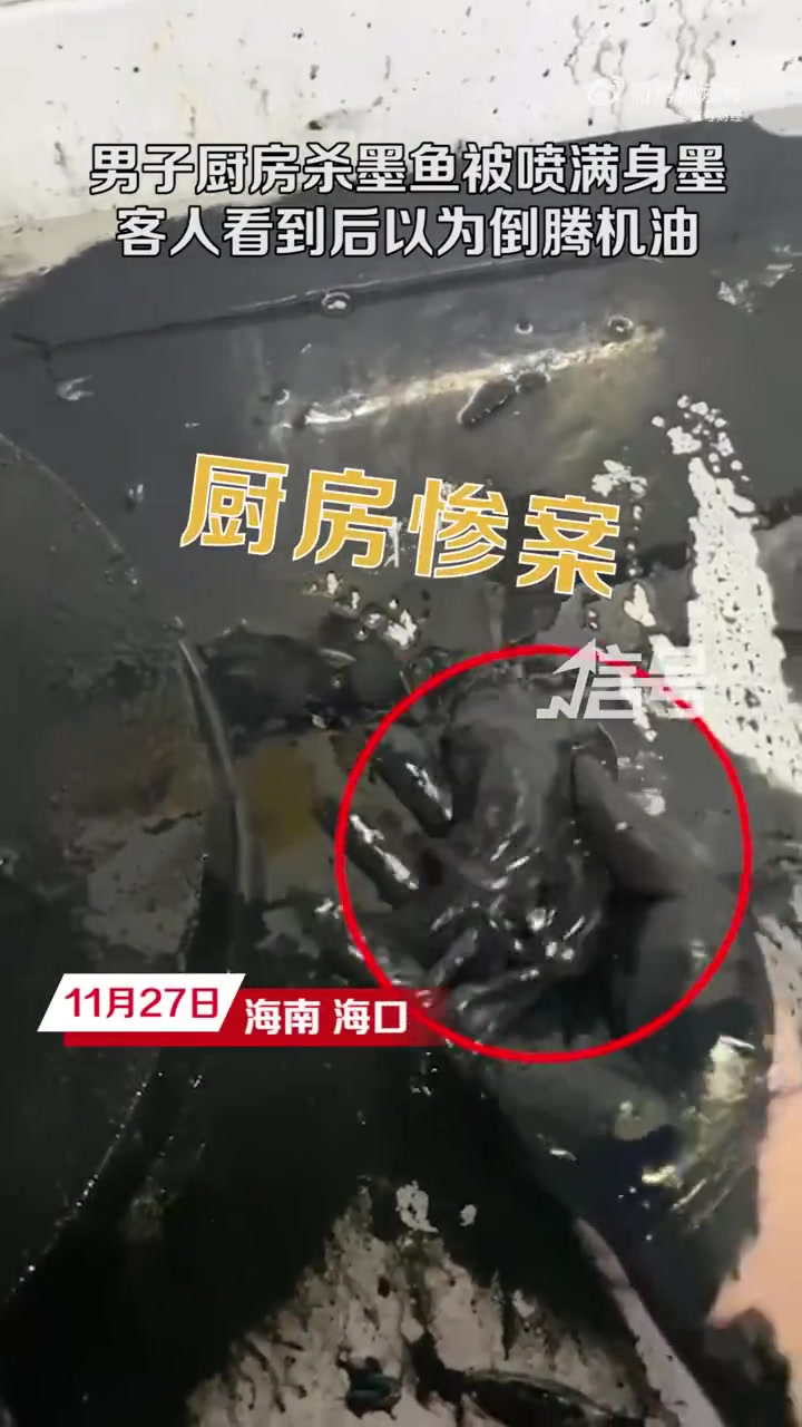 「男子厨房杀墨鱼被喷满身墨水 客人看到后误以为倒腾机油「捂脸」」11月27日,海南海口。李