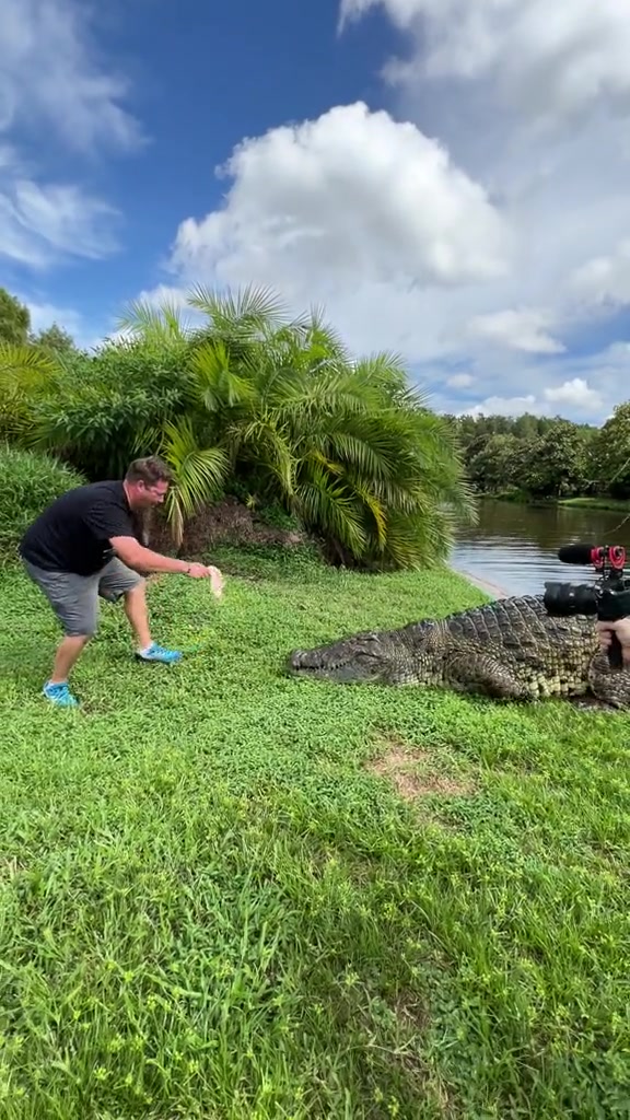 作死男子挑战巨型鳄鱼