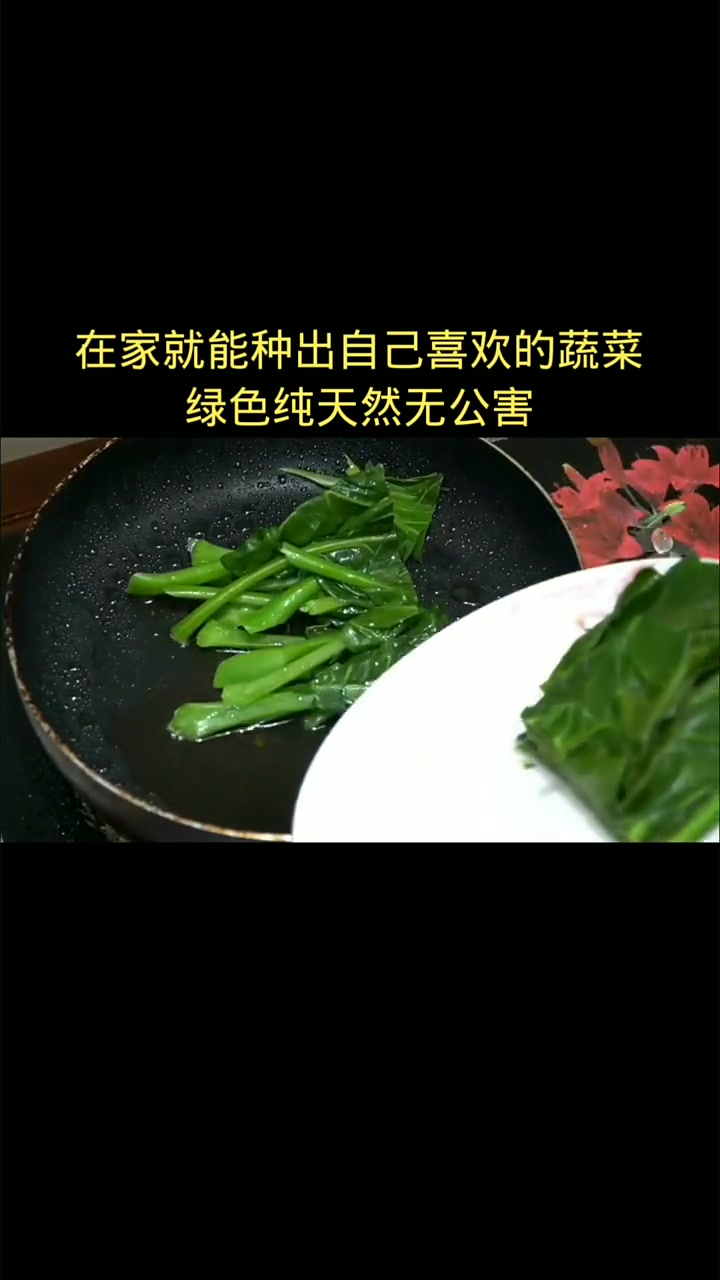 向往的生活,有没有人吃过这种芥兰菜