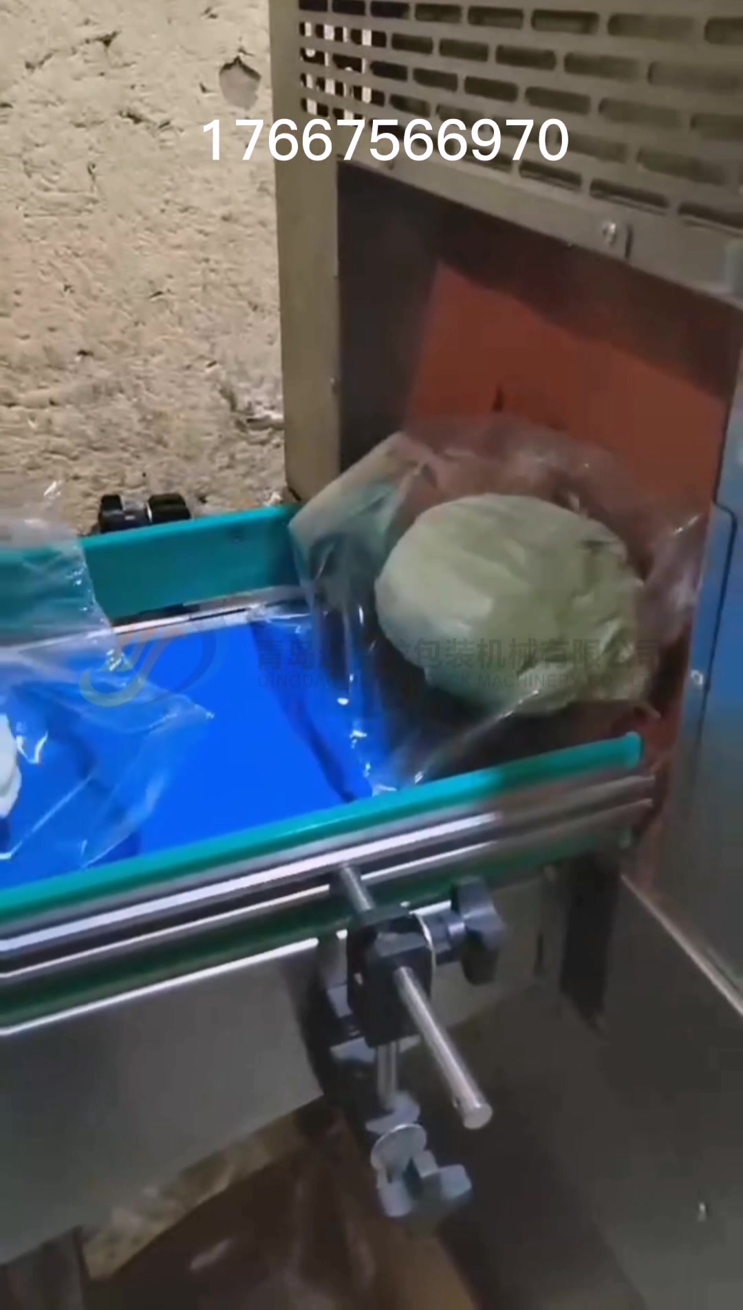 卷心菜包装机 包菜大头菜甘蓝圆白菜包装机