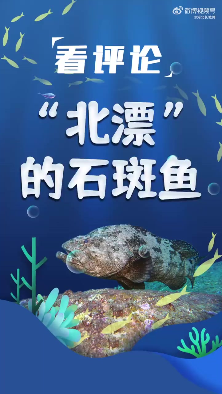 「看评论|“北漂”的石斑鱼」什么是特色农业,咋就能靠它赚上更多的钱呢?昨天的河北新闻联播里