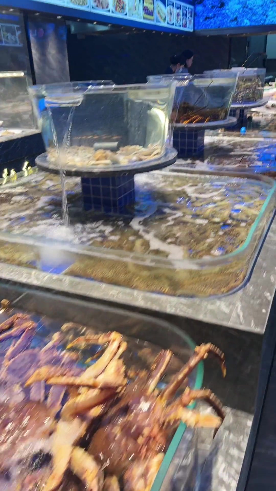 《淼深水产设备》鱼缸定做-饭店,酒店,餐厅,超市,水产市场