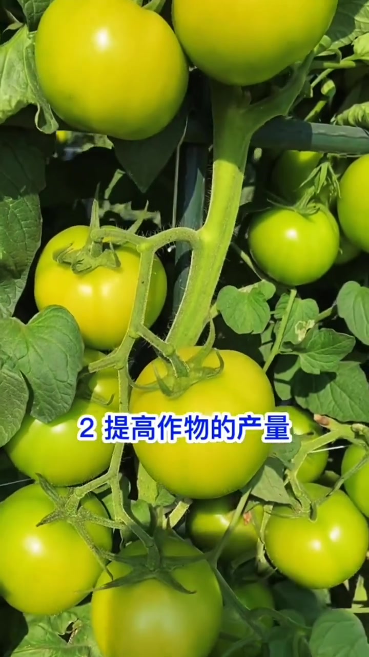 今日三农爆款 农业种植技术