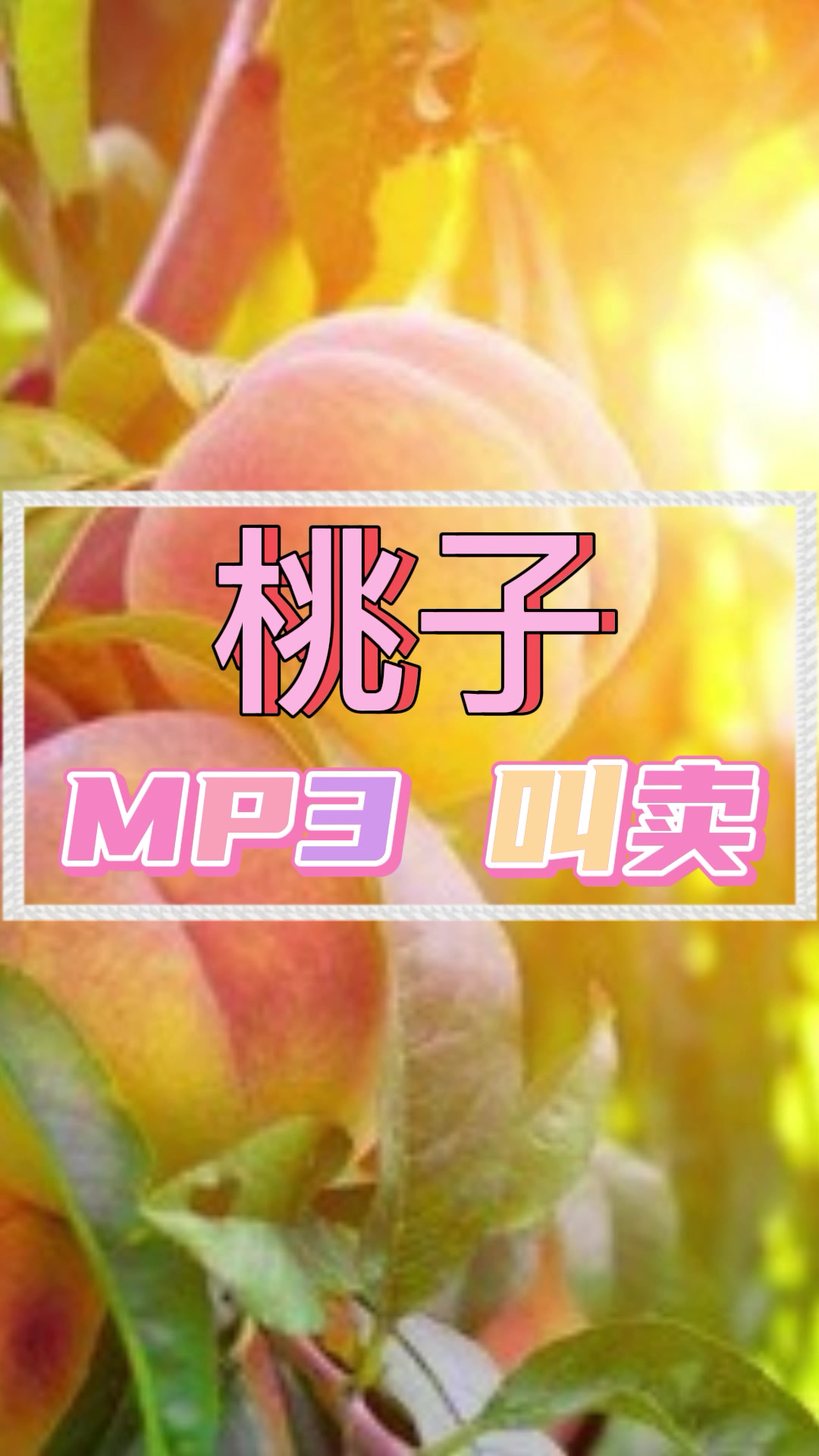 蔬菜水果广告录音