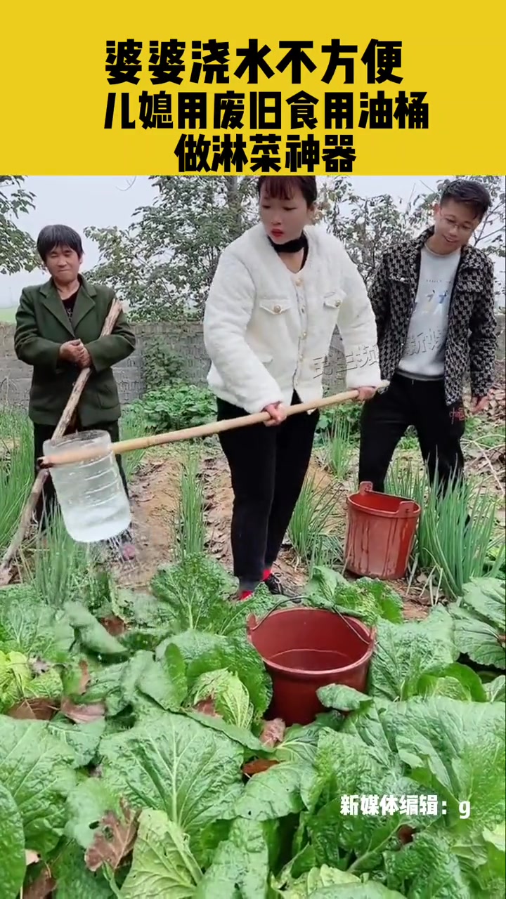 12月2日河南南阳,婆婆浇水不方便,儿媳用废旧食用油桶做淋菜神器 我的乡村生活 农村生活 