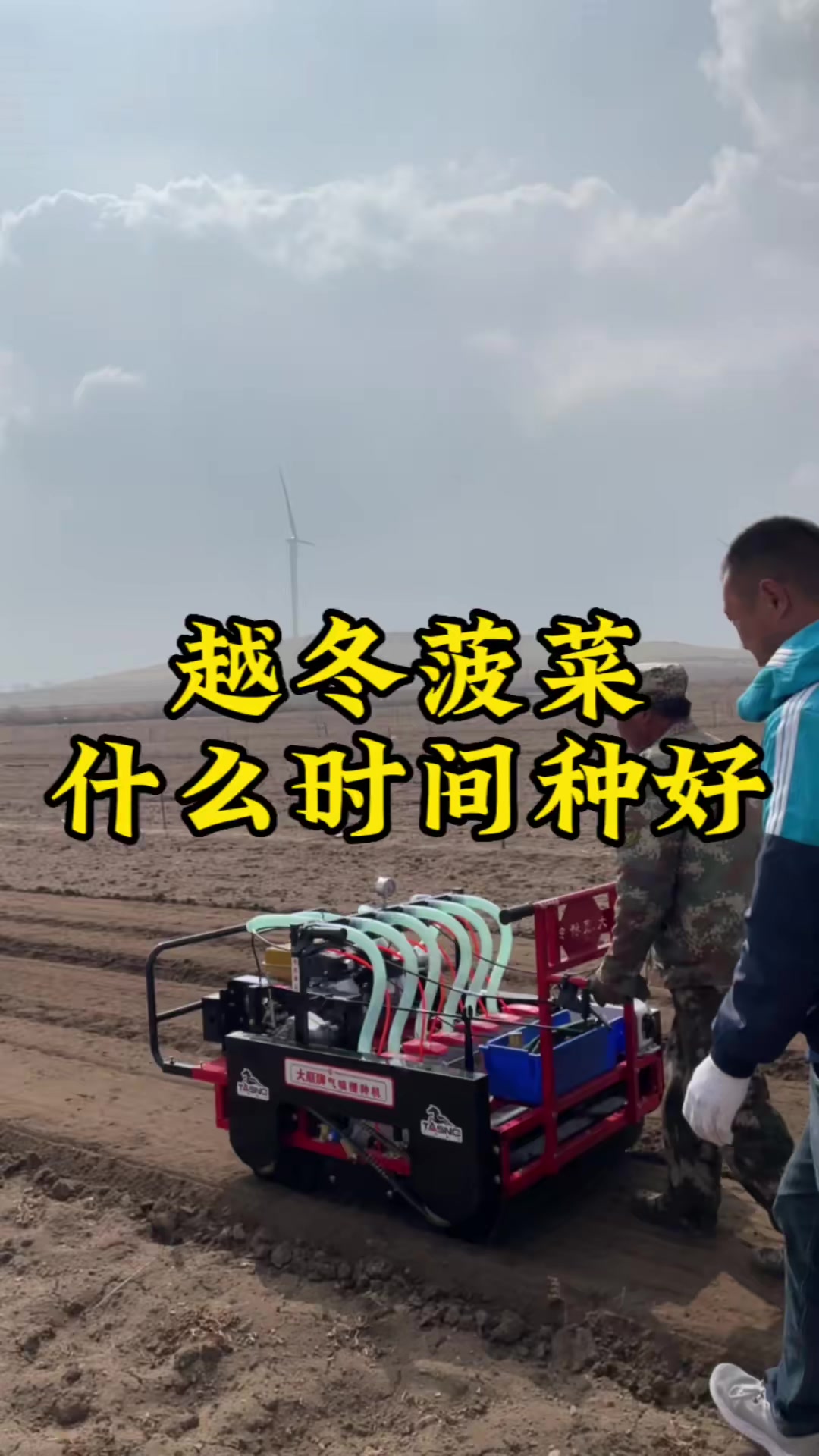 菠菜播种机,青岛大顺高端气吸叶菜播种机菜心香菜芹菜精确播种