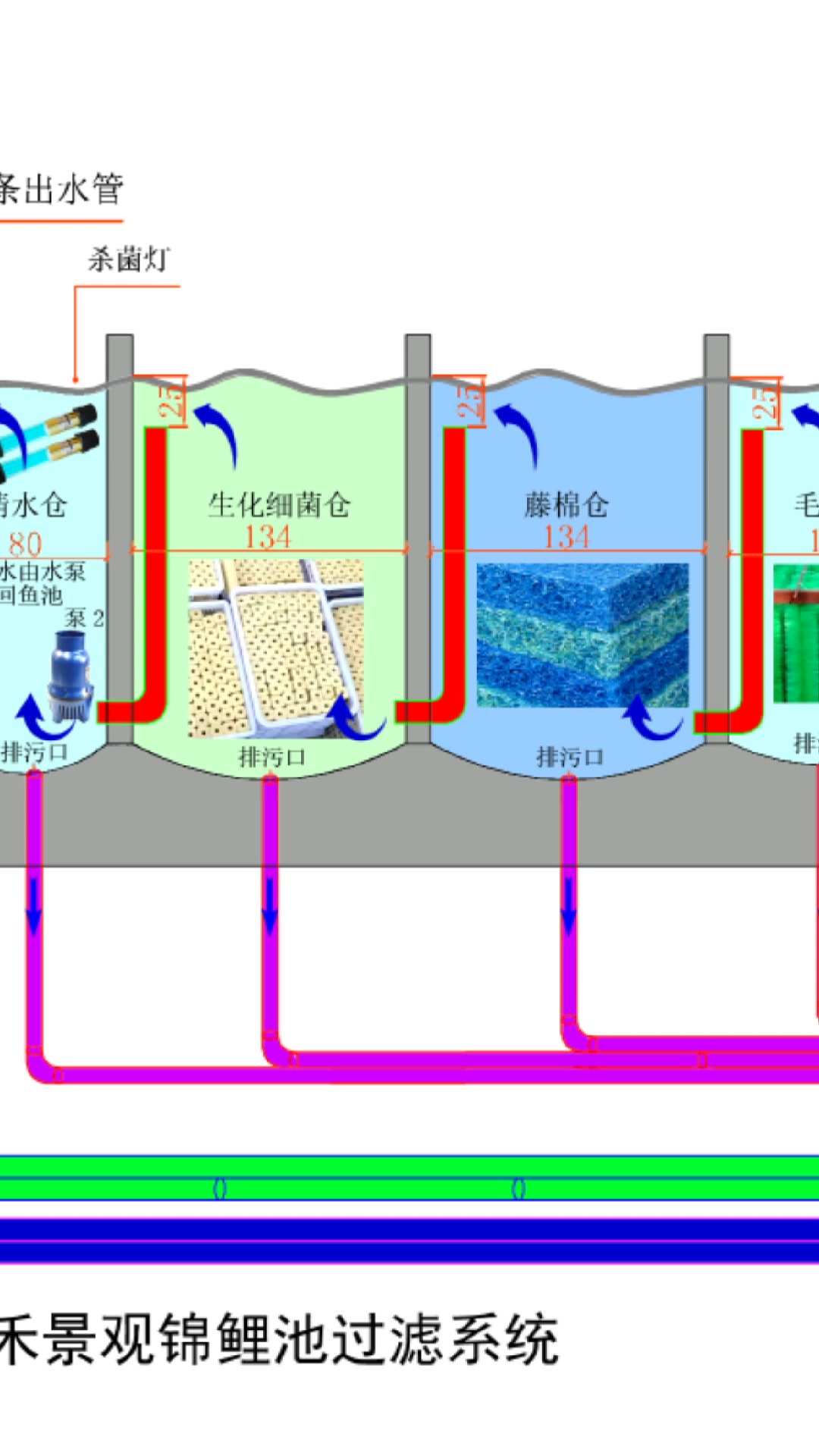 锦鲤鱼池过滤系统