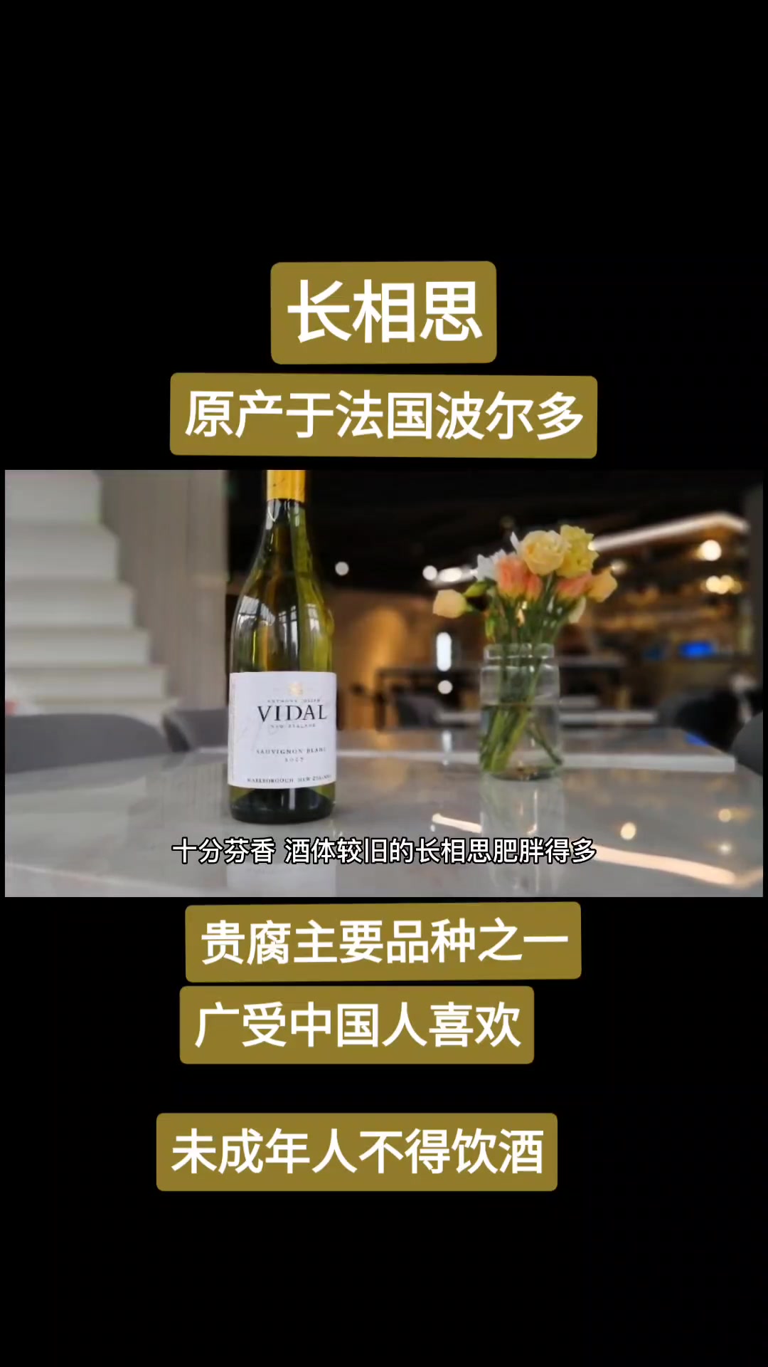 长相思葡萄酒品种,甜酒干白贵腐品种主要之一