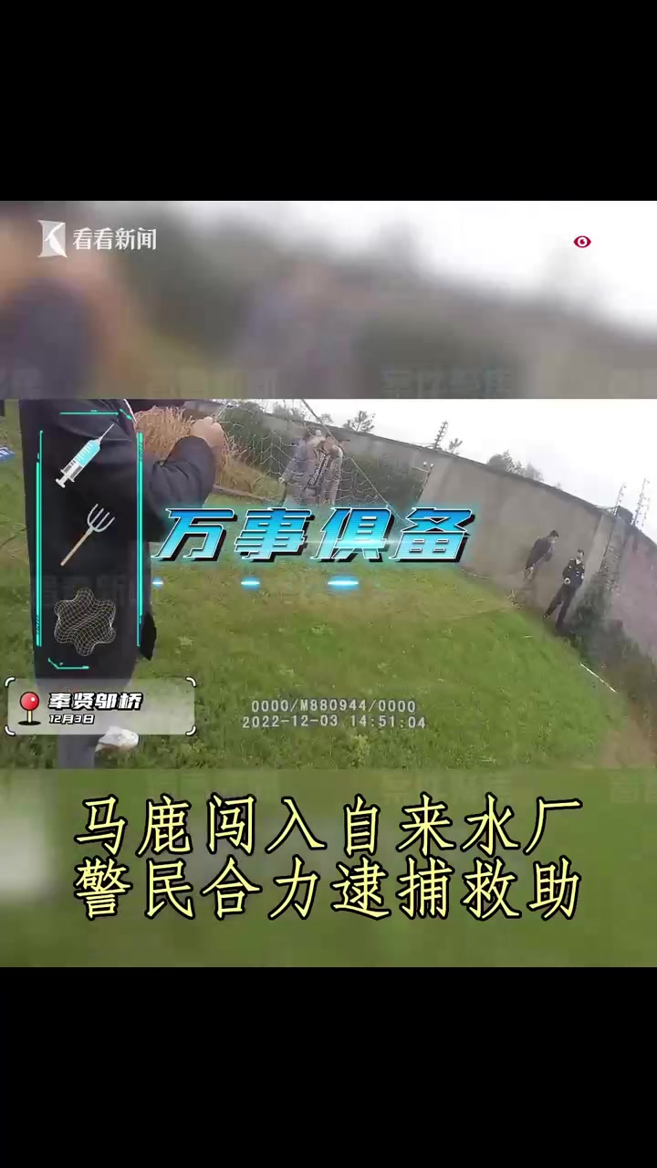 自来水厂闯入“不明生物” 竟还是珍稀保护动物