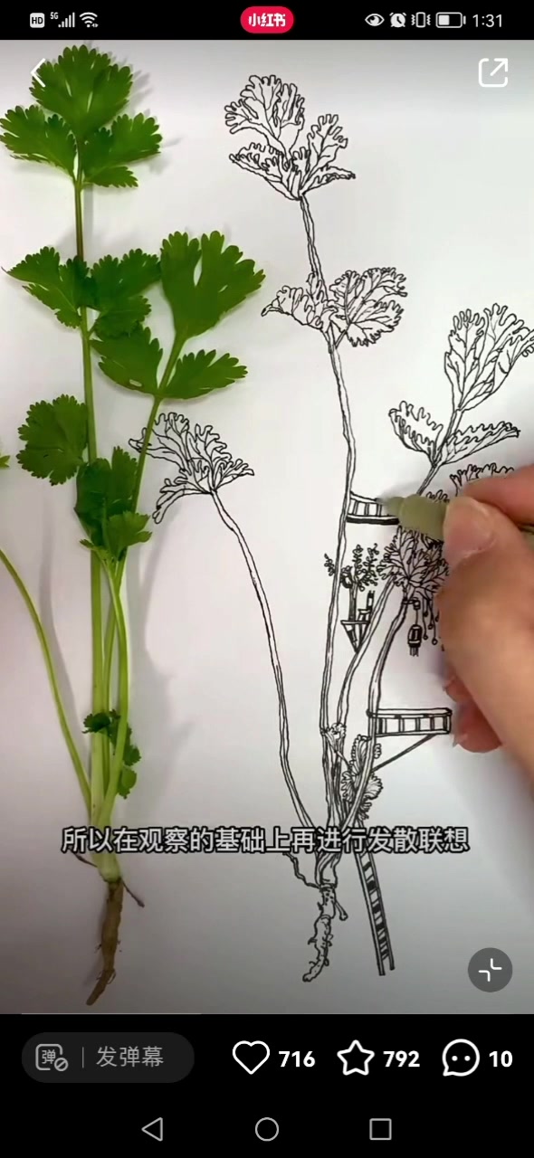 晶晶老师教孩子学绘画 开发右半脑 发散创新思维 ①蔬菜联想