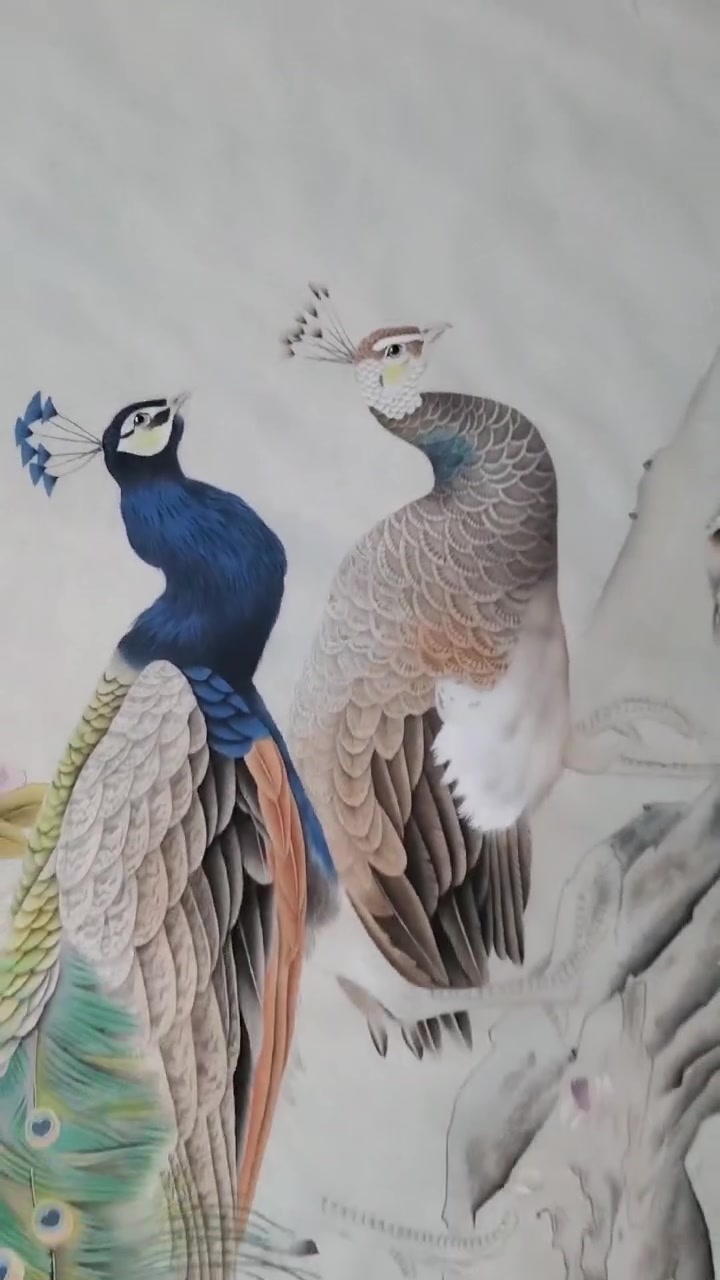 六尺孔雀,美美的工笔画