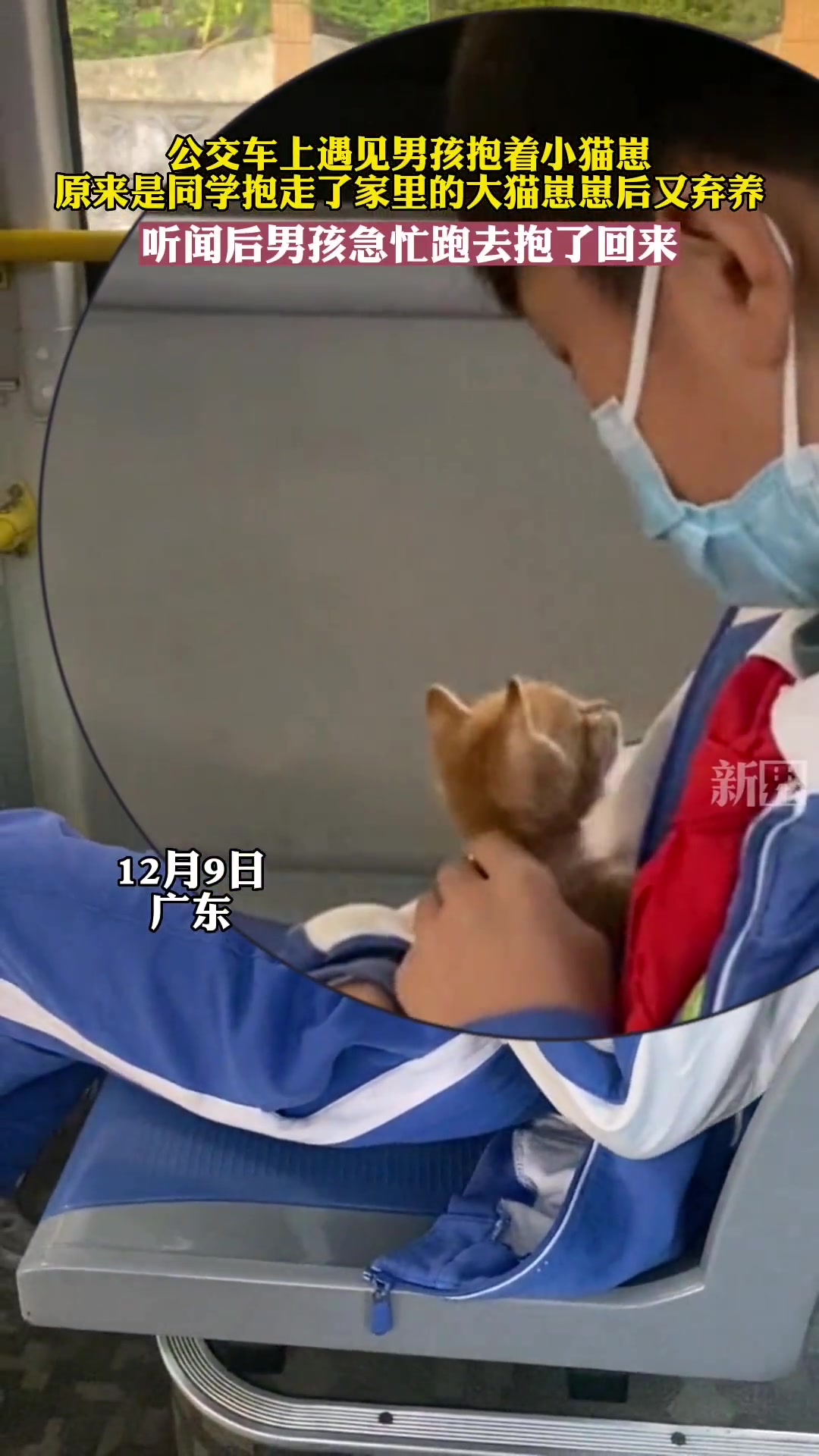 公交车上男孩抱着小猫崽,原来是同学抱走了家里的大猫崽崽后又因不好养,打算弃养,男孩赶忙去把
