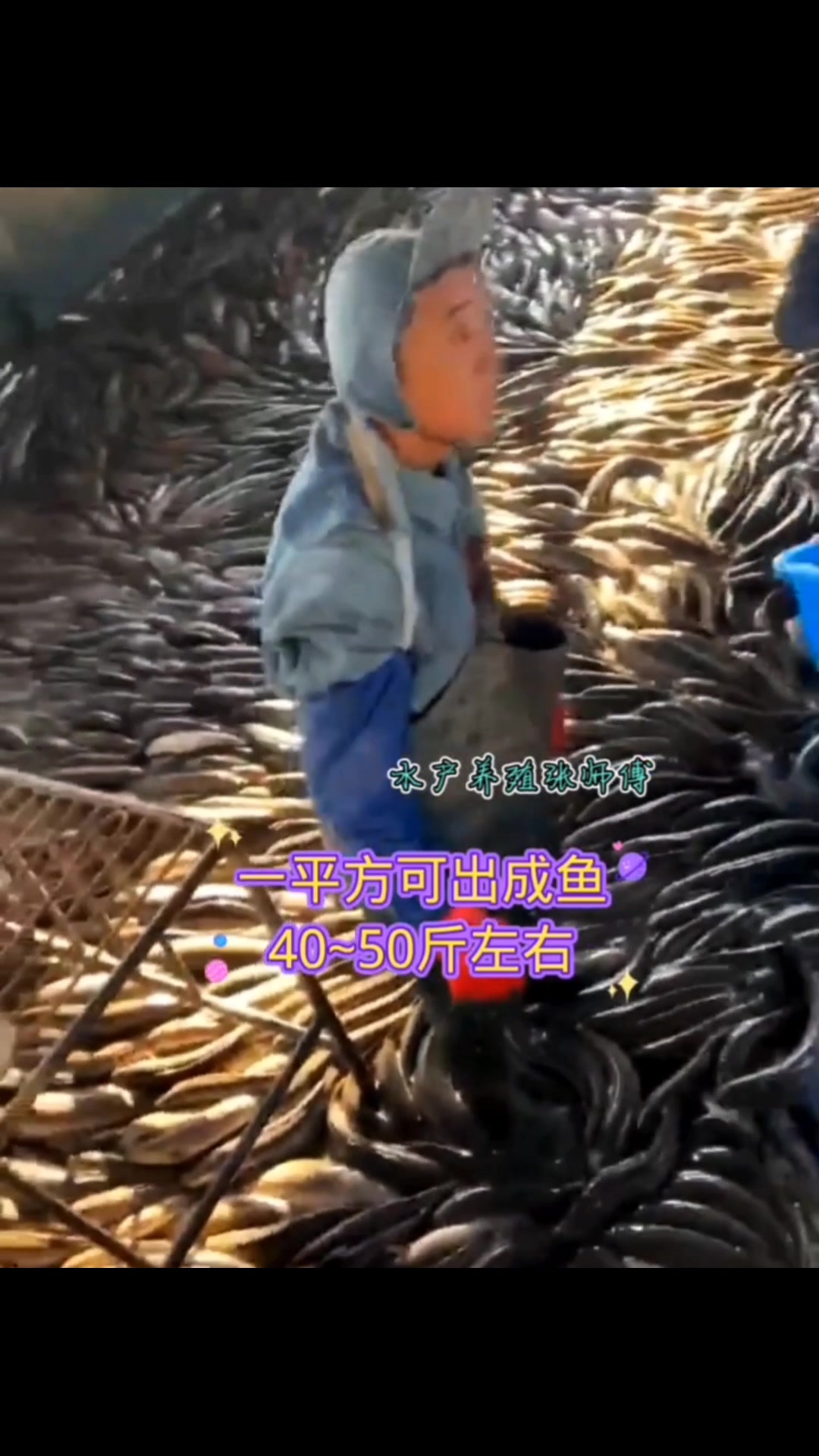 第2集|水产养殖技术 镀锌板帆布鱼池